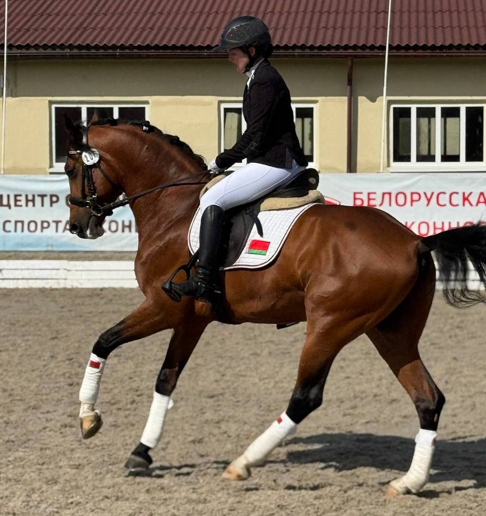 Республиканские соревнования по выездке