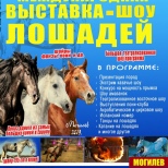 Выставка  лошадей 