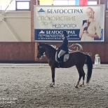 Технические результаты 1-го дня Республиканских соревнований по выездке