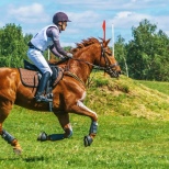 Неоспоримые лидеры  конных соревнований 
