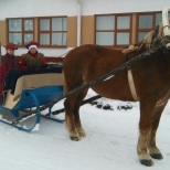 Приглашаем на катание в санях!
