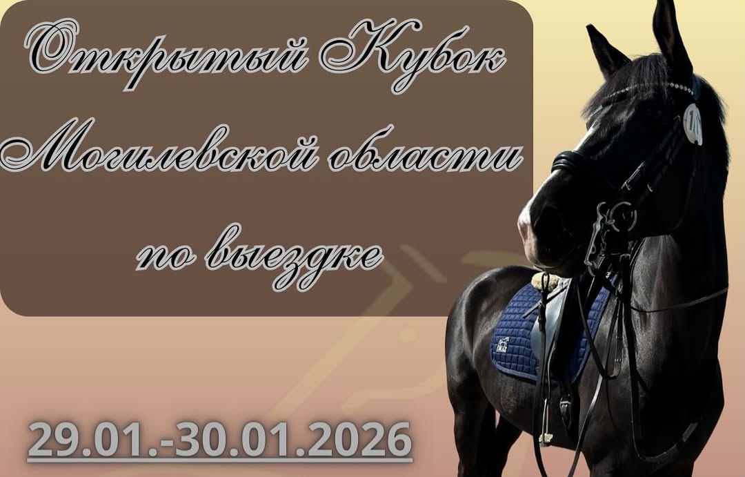 Открытый Кубок Могилевской области